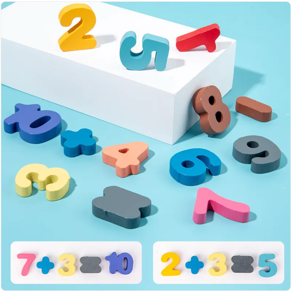 Wooden Montessori Magnetic Toy